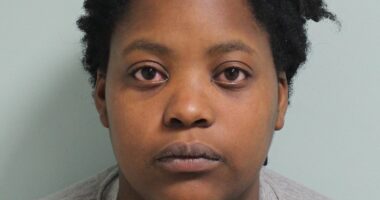 Mother is jailed for 10 years after leaving four sons to die in horror house fire surrounded by excrement and rubbish while she went shopping