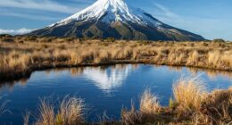 Taranaki Maunga in New Zealand has gained the rights of a human being after a new bill passed the country's parliament