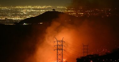 Multiple lawsuits claim Southern California Edison equipment sparked deadly LA fire