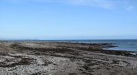 Mystery as dead body is found on popular UK beach leaving cops baffled as they probe ‘unexplained’ death