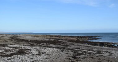 Mystery as dead body is found on popular UK beach leaving cops baffled as they probe ‘unexplained’ death