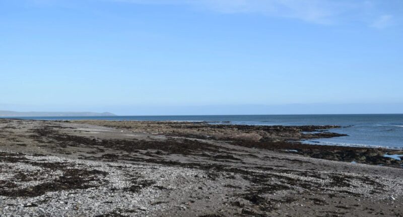 Mystery as dead body is found on popular UK beach leaving cops baffled as they probe ‘unexplained’ death