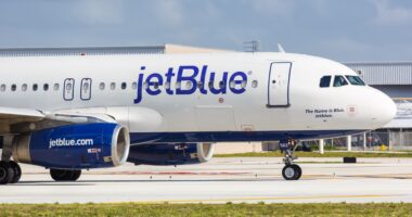 Mystery as two people found dead in compartment of JetBlue passenger plane after it landed in Florida