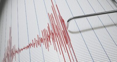 New Jersey rocked by earthquake felt in parts of New York