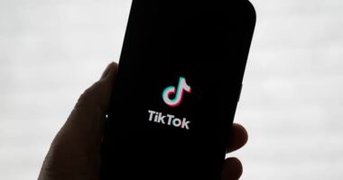 New bid for TikTok from Perplexity AI could give US government 50% stake