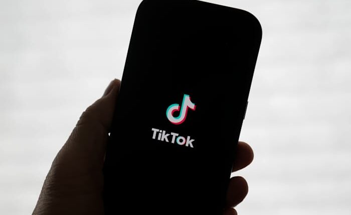 New bid for TikTok from Perplexity AI could give US government 50% stake