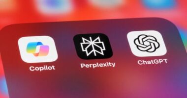 New bid for TikTok from Perplexity AI could give US government 50 per cent stake