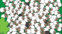 Only people in the top 1% of geniuses can spot the sneaky dog hiding with the woolly sheep in just 9 seconds