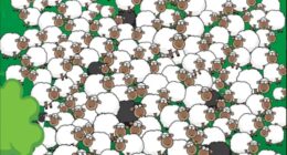 Only people in the top 1% of geniuses can spot the sneaky dog hiding with the woolly sheep in just 9 seconds