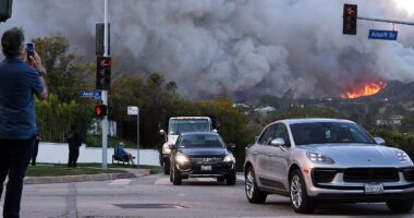 Pacific Palisades locals describe catastrophic fire as they escape with designer suitcases: 'Like a disaster movie'