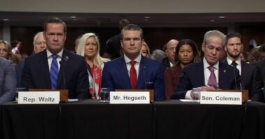 Pete Hegseth hearing: Veteran and US Sen. Tammy Duckworth grills Donald Trump's pick for Defense secretary