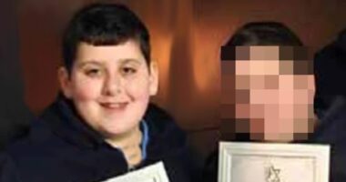 Pictured: British schoolboy, 12, killed when he was 'thrown from BMW' while travelling with his family in horror Belgium motorway crash