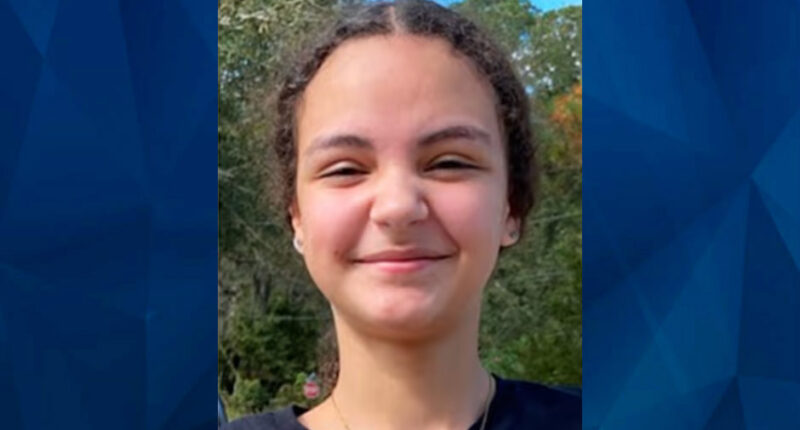 Police Ask for Help Finding Missing 15-Year-Old Georgia Girl