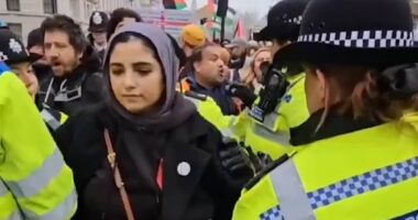 Police officers accused of manhandling 'pregnant' woman during pro-Palestine protest that went ahead despite Gaza ceasefire deal - as 77 are arrested