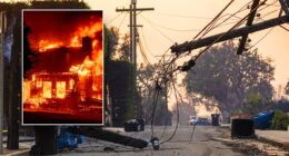 Power grid faults surged right before Los Angeles wildfires began: expert