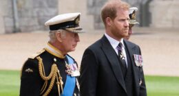 Prince Harry Had 'Very Genuine' Hope The Royal Family Would Reach Out To Him After 'Spare' Memoir