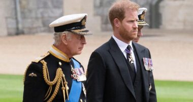 Prince Harry Had 'Very Genuine' Hope The Royal Family Would Reach Out To Him After 'Spare' Memoir