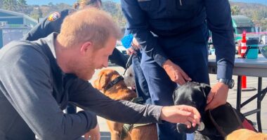 Prince Harry poses for pictures with LA fire department and therapy dogs - after Sussexes were branded the 'most entitled, disingenuous people on the planet' in society bible Vanity Fair