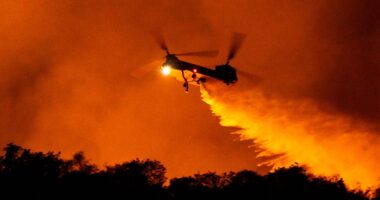 Private drones are interfering with aerial firefighting efforts as death toll rises in LA wildfires: officials