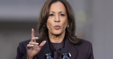 REPORT: Bitter Kamala Harris Won't Let JD and Usha Vance Child-Proof VP Residence Ahead of Inauguration