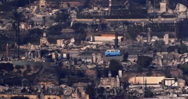 Retro blue VW van stands defiant after miraculously surviving the deadly Los Angeles wildfires