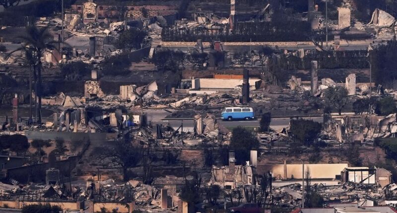 Retro blue VW van stands defiant after miraculously surviving the deadly Los Angeles wildfires