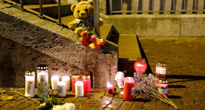 Revealed - Afghan who stabbed boy, two, and a hero passerby to death in German park was supposed to have left the country: Little girl was also stabbed three times in the neck