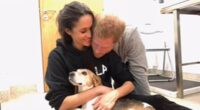 Royal fans gush over hearing Meghan Markle and Prince Harry's children in tribute to beloved family dog