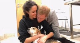 Royal fans gush over hearing Meghan Markle and Prince Harry's children in tribute to beloved family dog