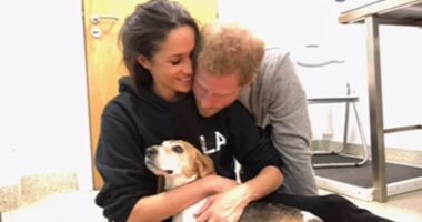 Royal fans gush over hearing Meghan Markle and Prince Harry's children in tribute to beloved family dog