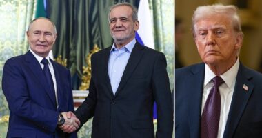 Russia, Iran to seal partnership treaty days before Trump takes office