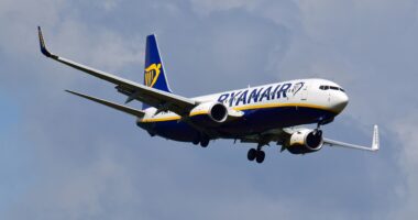 Ryanair jet from UK forced to ABORT landing at last min over mysterious GPS ‘jamming’ near Nato border with Russia