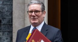 Sir Keir Starmer faces more controversy as his new City minister is accused of conflict of interest over China lobbying