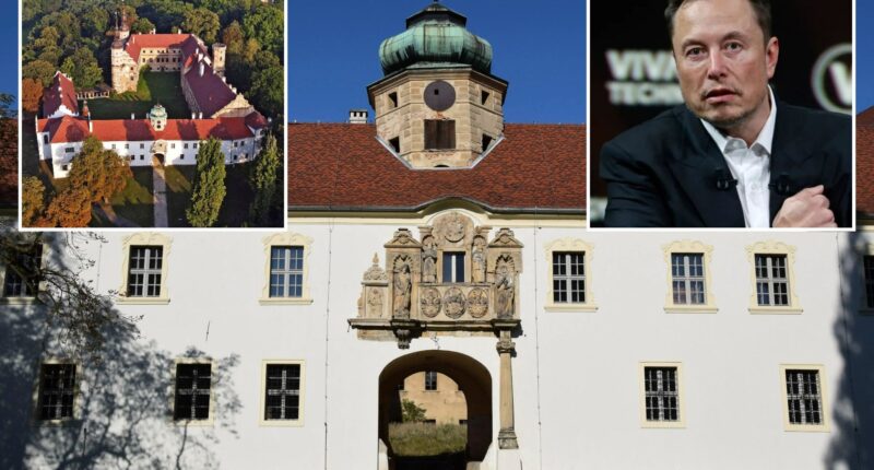 Small town of just 6,000 people invites ELON MUSK to buy their sprawling Medieval castle to set up new European HQ