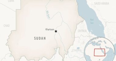 Some 70 people killed in attack on hospital in Sudan's Darfur region, WHO chief says