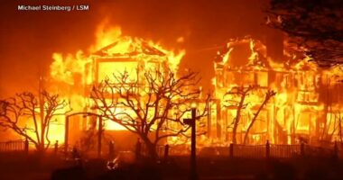 Southern California Wildfires: Here's the role climate change may be playing in deadly SoCal wildfires, according to experts