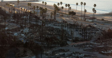 Southern California wildfires: LA's Olympic venues were spared by wildfires, but the city's rebuild could impact the Games' runup