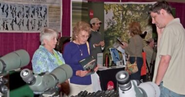 Space Coast Birding and Wildlife Festival takes flight with over 50 exhibits, field trips to showcase Florida nature