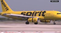 Spirit Airlines dress code: 'Offensive' tattoos and 'see-through clothing' can get you kicked off your next flight