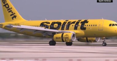 Spirit Airlines dress code: 'Offensive' tattoos and 'see-through clothing' can get you kicked off your next flight