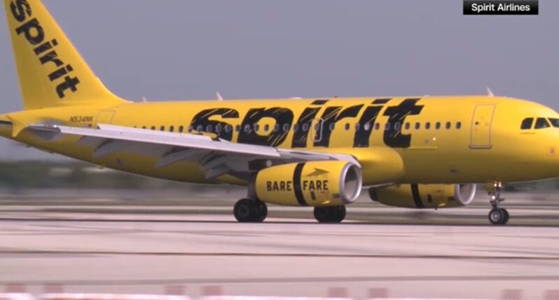 Spirit Airlines dress code: 'Offensive' tattoos and 'see-through clothing' can get you kicked off your next flight