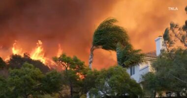 Strong Santa Ana winds remain threat to Southern California as firefighters bat down new wildfires