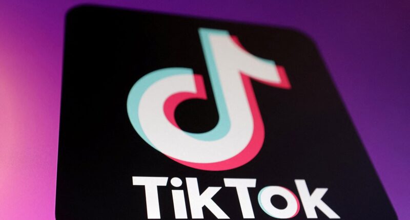 Supreme Court allows TikTok to be banned in the U.S. just days before Trump's inauguration