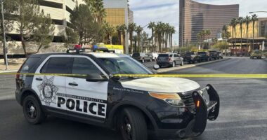 TURO App Used to Rent the Trucks Used in the New Orleans, Las Vegas Terror Attacks Render Leads