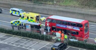 Teenage boy, 14, is stabbed to death on London bus in front of horrified passengers as police launch murder probe