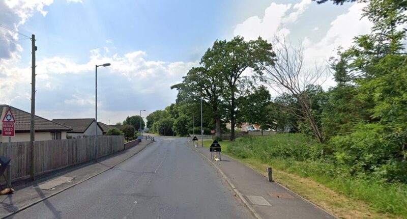 Teenager, 19, dies after car is hit by falling tree amid high winds in Storm Eowyn