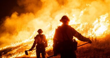 Terrifying new fire threatening Los Angeles explodes from 500 acres to more than 10,000 in mere hours as 50,000 residents are placed under new evacuation warnings