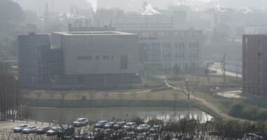 A view of the P4 lab inside the Wuhan Institute of Virology is seen after a visit by the World Health Organization team in Wuhan in China's