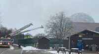 'The damage is minimal': Cleveland Metroparks Zoo resumes transformation of RainForest exhibit after fire