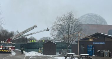 'The damage is minimal': Cleveland Metroparks Zoo resumes transformation of RainForest exhibit after fire